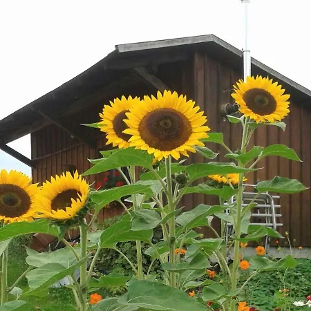 Ferienhaus Keller Holiday home *